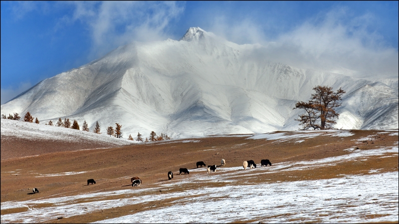 Золотая осень: Восточные Саяны, Хубсугул (Монголия), Байкал