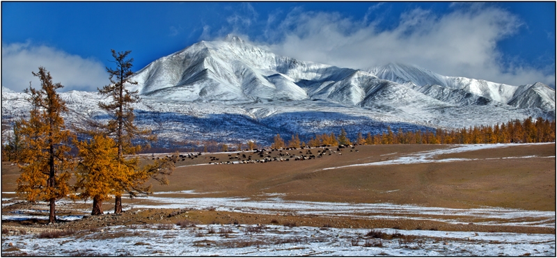 Золотая осень: Восточные Саяны, Хубсугул (Монголия), Байкал