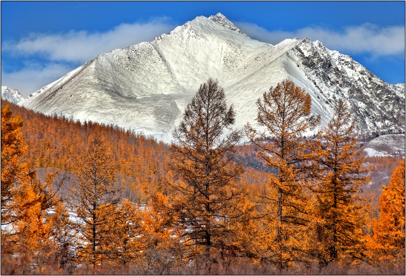 Золотая осень: Восточные Саяны, Хубсугул (Монголия), Байкал