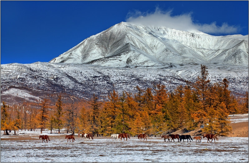 Золотая осень: Восточные Саяны, Хубсугул (Монголия), Байкал