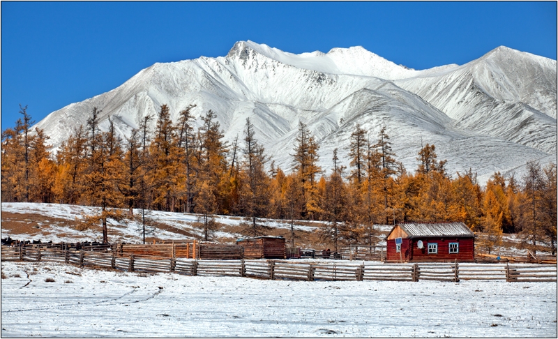 Золотая осень: Восточные Саяны, Хубсугул (Монголия), Байкал