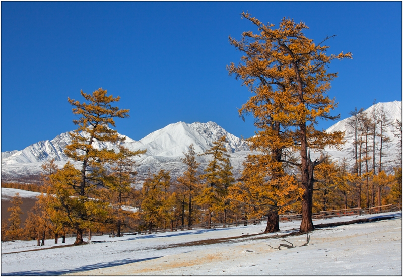Золотая осень: Восточные Саяны, Хубсугул (Монголия), Байкал