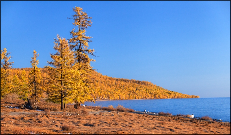 Золотая осень: Восточные Саяны, Хубсугул (Монголия), Байкал