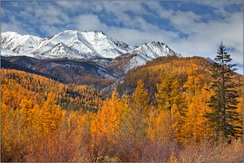 Золотая осень: Восточные Саяны, Хубсугул (Монголия), Байкал