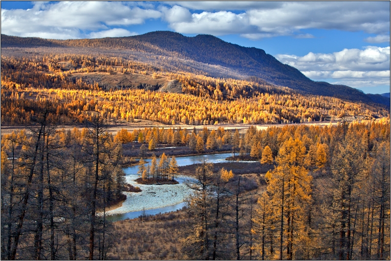 Золотая осень: Восточные Саяны, Хубсугул (Монголия), Байкал