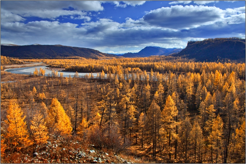 Золотая осень: Восточные Саяны, Хубсугул (Монголия), Байкал