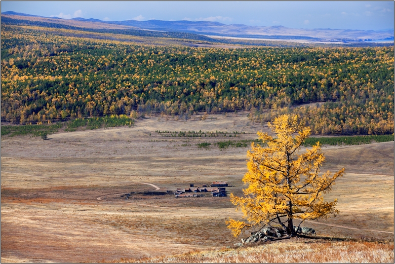 Золотая осень: Восточные Саяны, Хубсугул (Монголия), Байкал