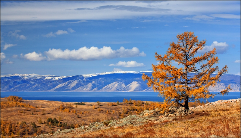 Золотая осень: Восточные Саяны, Хубсугул (Монголия), Байкал