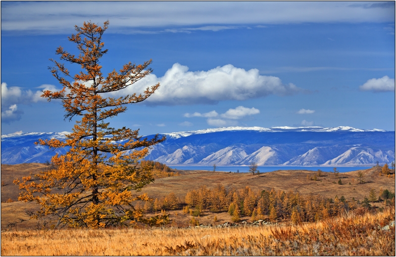 Золотая осень: Восточные Саяны, Хубсугул (Монголия), Байкал