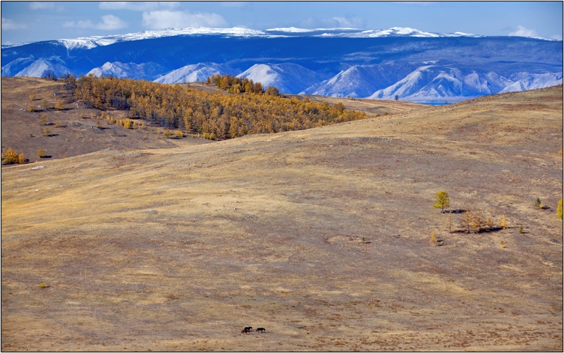 Золотая осень: Восточные Саяны, Хубсугул (Монголия), Байкал