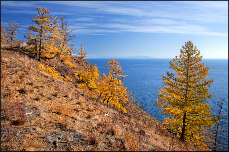 Золотая осень: Восточные Саяны, Хубсугул (Монголия), Байкал