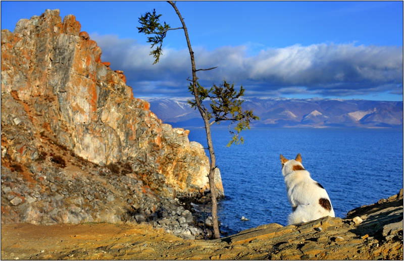 Золотая осень: Восточные Саяны, Хубсугул (Монголия), Байкал