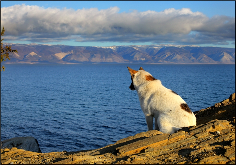 Золотая осень: Восточные Саяны, Хубсугул (Монголия), Байкал