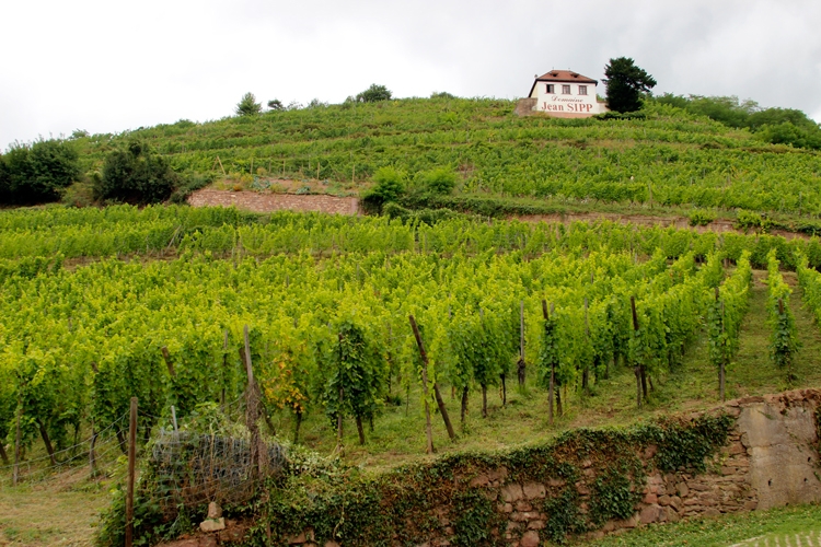 Путешествие 2017 на автомобиле по Европе: Германия, Франция, Швейцария