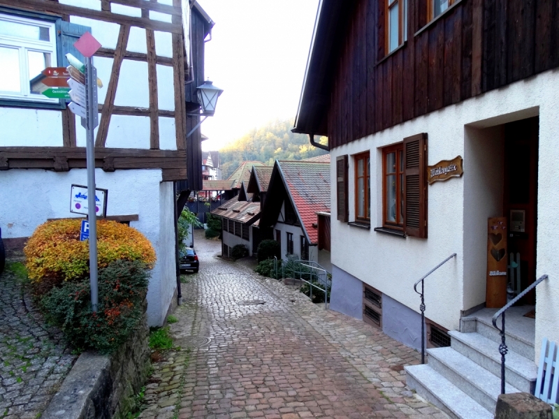 Шварцвальдская мозаика.