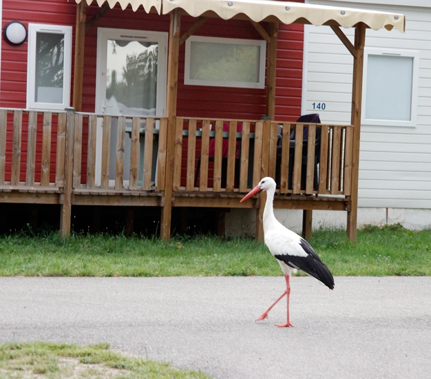 Путешествие 2017 на автомобиле по Европе: Германия, Франция, Швейцария