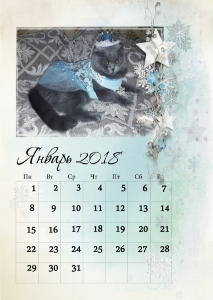 Кошки в нашей жизни. Кошки и все, что с ними связано.