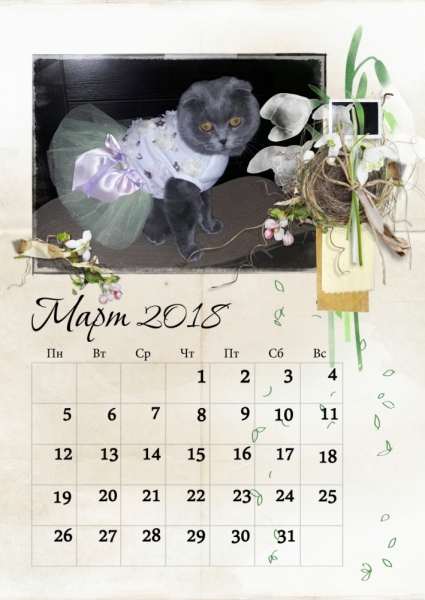 Кошки в нашей жизни. Кошки и все, что с ними связано.