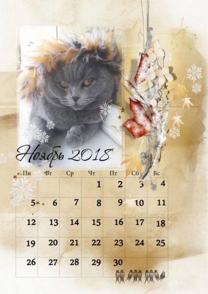 Кошки в нашей жизни. Кошки и все, что с ними связано.