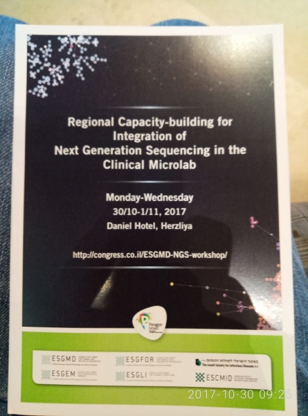 На курсах в Израиле в середине осени (Тель-Авив - Яффо, Герцлия, Иерусалим)