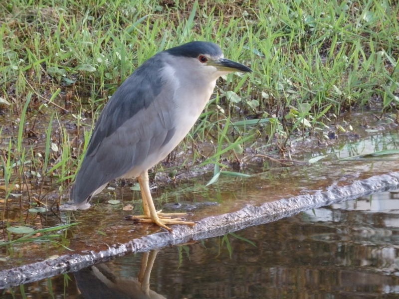 На курсах в Израиле в середине осени (Тель-Авив - Яффо, Герцлия, Иерусалим)