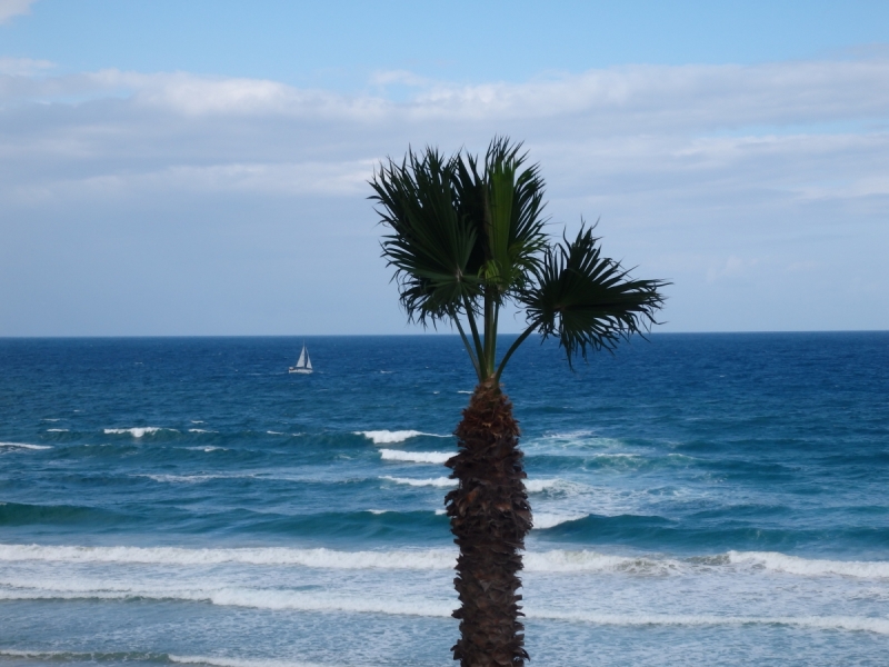 На курсах в Израиле в середине осени (Тель-Авив - Яффо, Герцлия, Иерусалим)