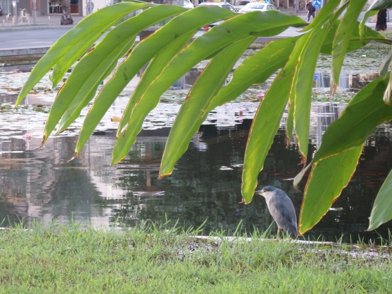 На курсах в Израиле в середине осени (Тель-Авив - Яффо, Герцлия, Иерусалим)