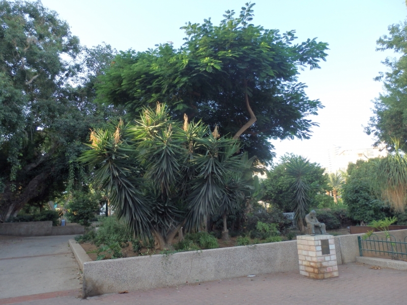 На курсах в Израиле в середине осени (Тель-Авив - Яффо, Герцлия, Иерусалим)