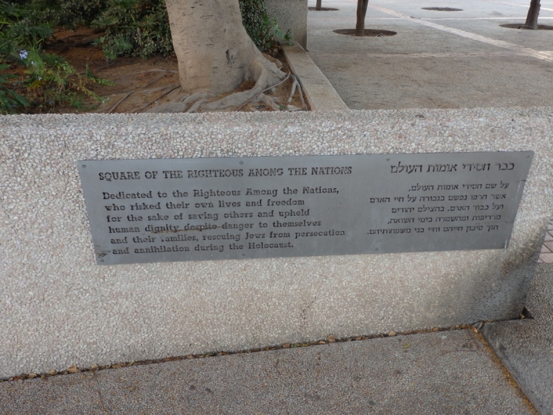 На курсах в Израиле в середине осени (Тель-Авив - Яффо, Герцлия, Иерусалим)