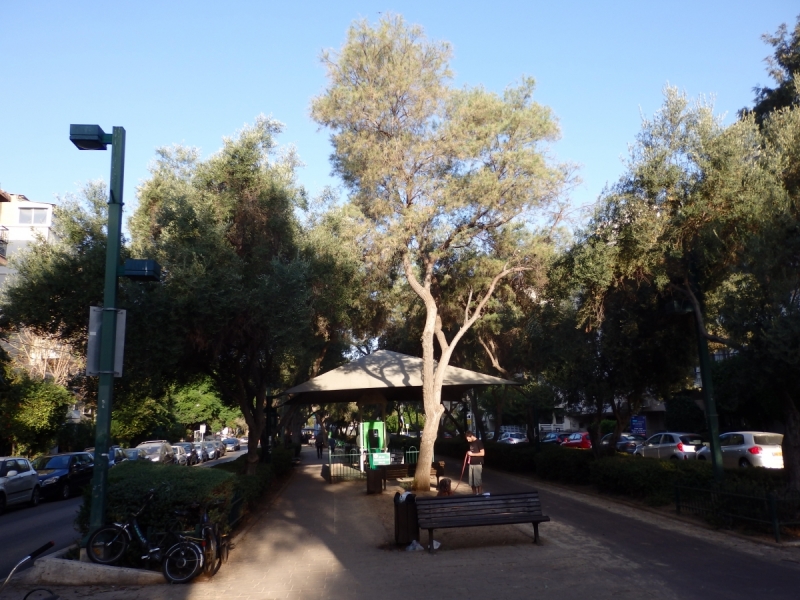 На курсах в Израиле в середине осени (Тель-Авив - Яффо, Герцлия, Иерусалим)