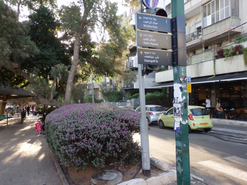 На курсах в Израиле в середине осени (Тель-Авив - Яффо, Герцлия, Иерусалим)