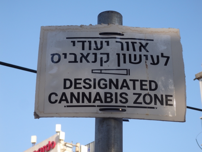 На курсах в Израиле в середине осени (Тель-Авив - Яффо, Герцлия, Иерусалим)