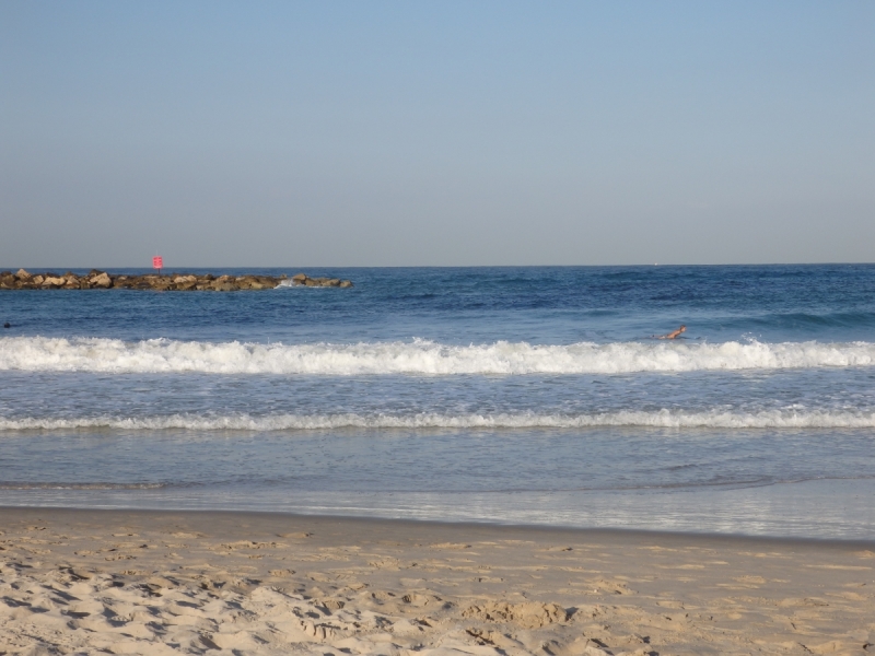 На курсах в Израиле в середине осени (Тель-Авив - Яффо, Герцлия, Иерусалим)