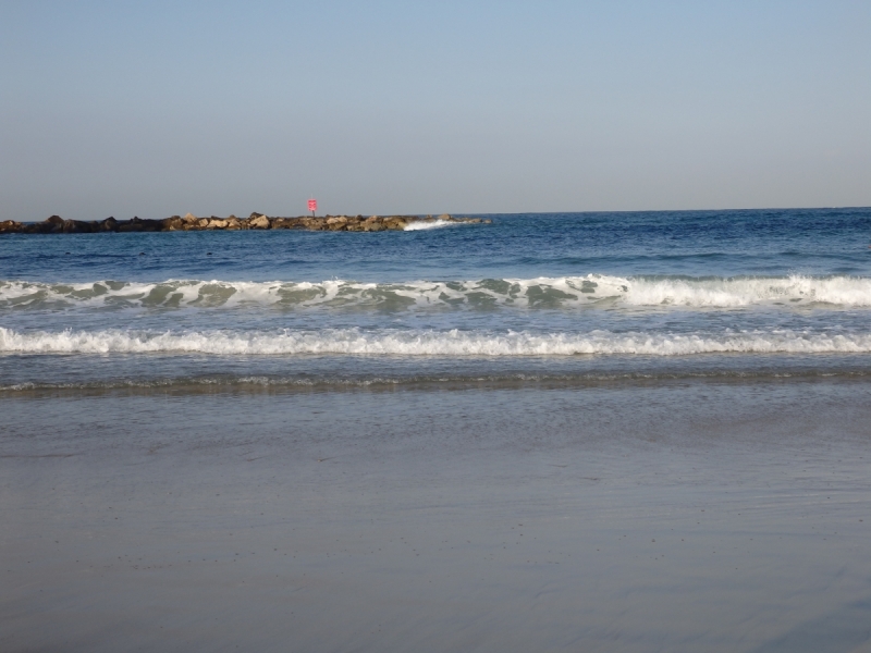 На курсах в Израиле в середине осени (Тель-Авив - Яффо, Герцлия, Иерусалим)