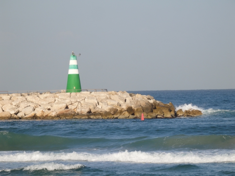 На курсах в Израиле в середине осени (Тель-Авив - Яффо, Герцлия, Иерусалим)