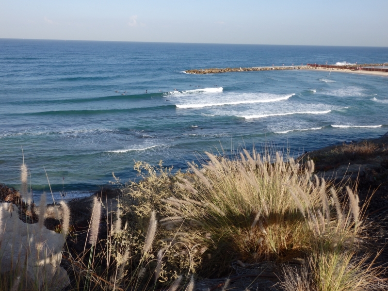 На курсах в Израиле в середине осени (Тель-Авив - Яффо, Герцлия, Иерусалим)