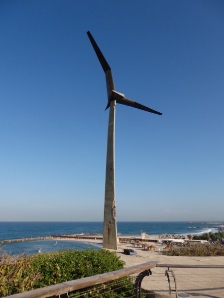 На курсах в Израиле в середине осени (Тель-Авив - Яффо, Герцлия, Иерусалим)