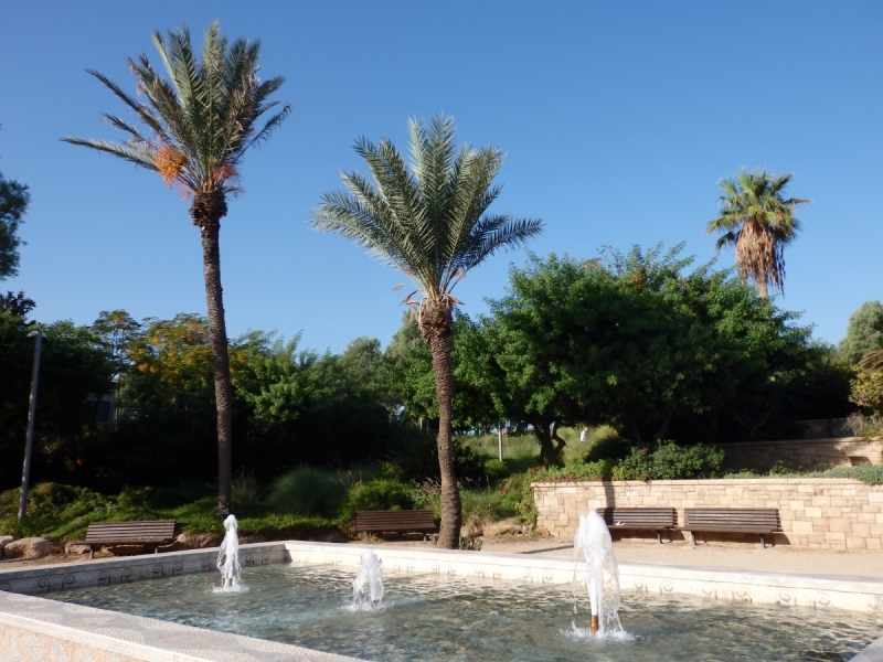 На курсах в Израиле в середине осени (Тель-Авив - Яффо, Герцлия, Иерусалим)