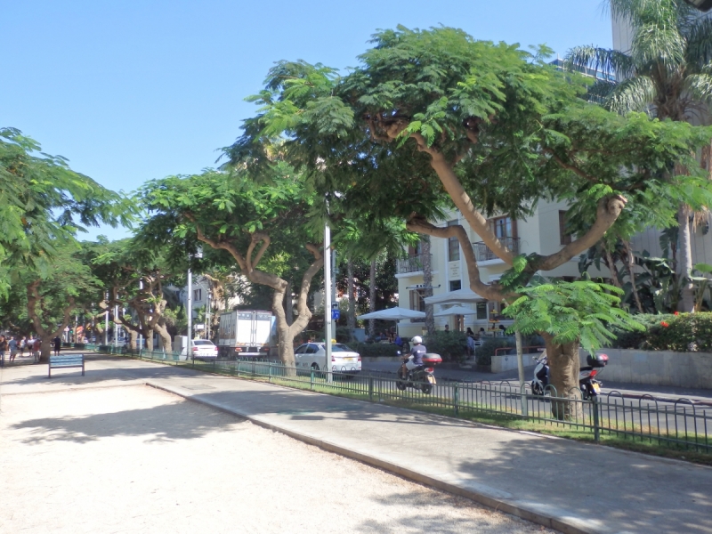 На курсах в Израиле в середине осени (Тель-Авив - Яффо, Герцлия, Иерусалим)