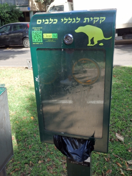 На курсах в Израиле в середине осени (Тель-Авив - Яффо, Герцлия, Иерусалим)