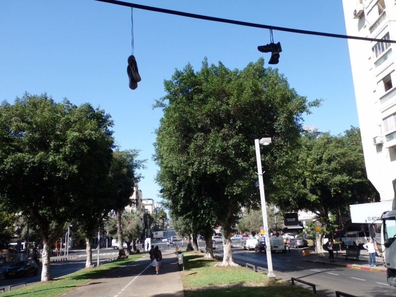 На курсах в Израиле в середине осени (Тель-Авив - Яффо, Герцлия, Иерусалим)