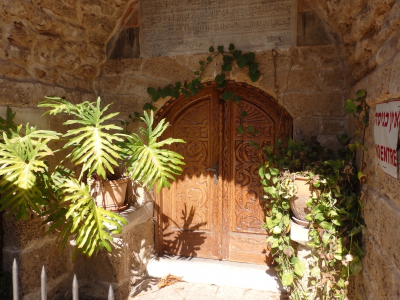 На курсах в Израиле в середине осени (Тель-Авив - Яффо, Герцлия, Иерусалим)