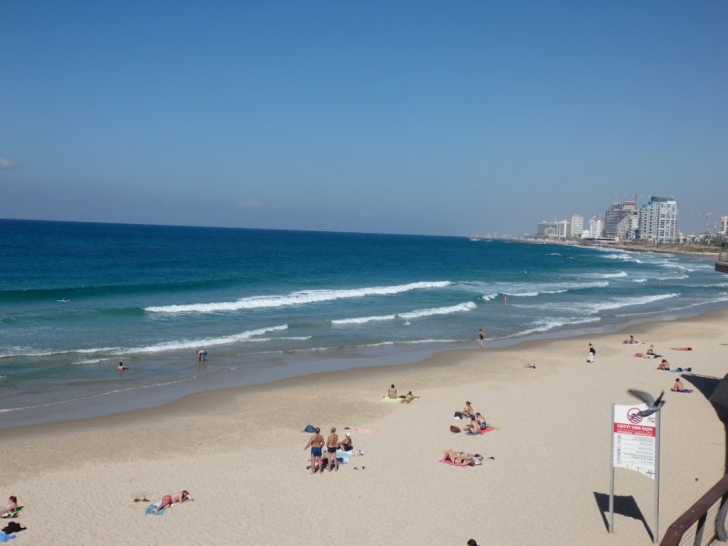 На курсах в Израиле в середине осени (Тель-Авив - Яффо, Герцлия, Иерусалим)