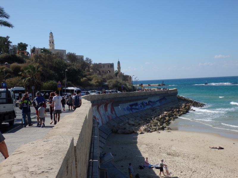 На курсах в Израиле в середине осени (Тель-Авив - Яффо, Герцлия, Иерусалим)