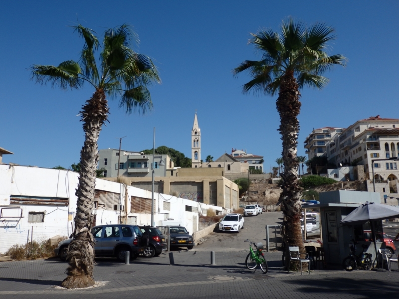 На курсах в Израиле в середине осени (Тель-Авив - Яффо, Герцлия, Иерусалим)