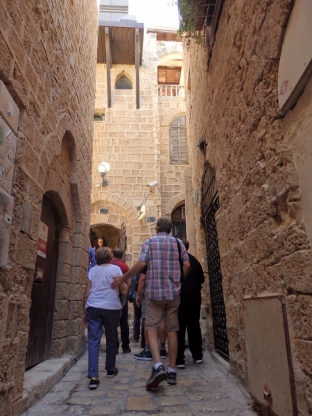 На курсах в Израиле в середине осени (Тель-Авив - Яффо, Герцлия, Иерусалим)