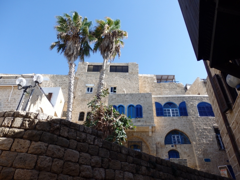 На курсах в Израиле в середине осени (Тель-Авив - Яффо, Герцлия, Иерусалим)