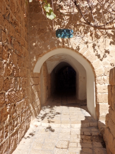 На курсах в Израиле в середине осени (Тель-Авив - Яффо, Герцлия, Иерусалим)