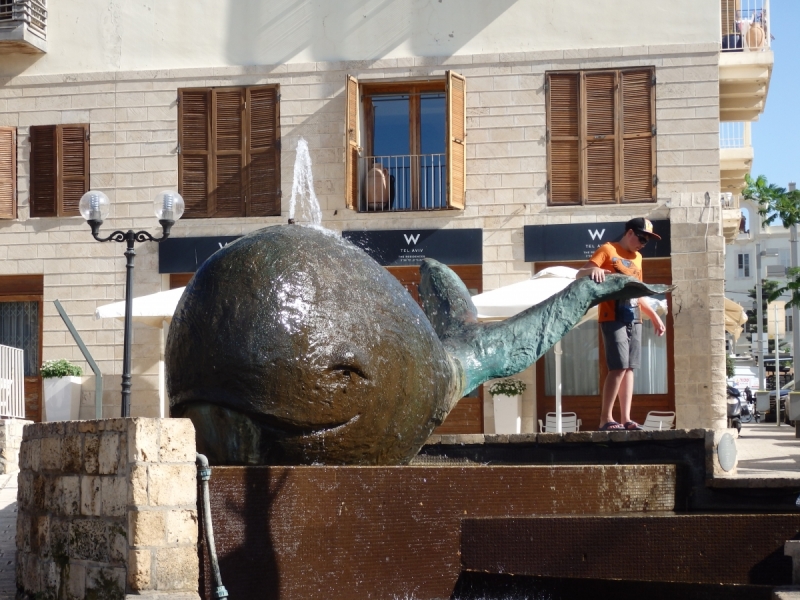 На курсах в Израиле в середине осени (Тель-Авив - Яффо, Герцлия, Иерусалим)