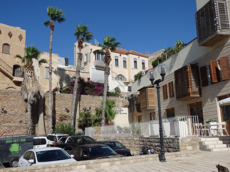 На курсах в Израиле в середине осени (Тель-Авив - Яффо, Герцлия, Иерусалим)